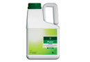 Bayer