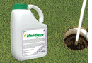Syngenta