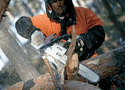 Stihl