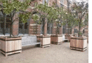 Oxford Planters