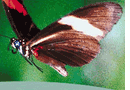 Enviromat