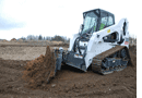 Bobcat